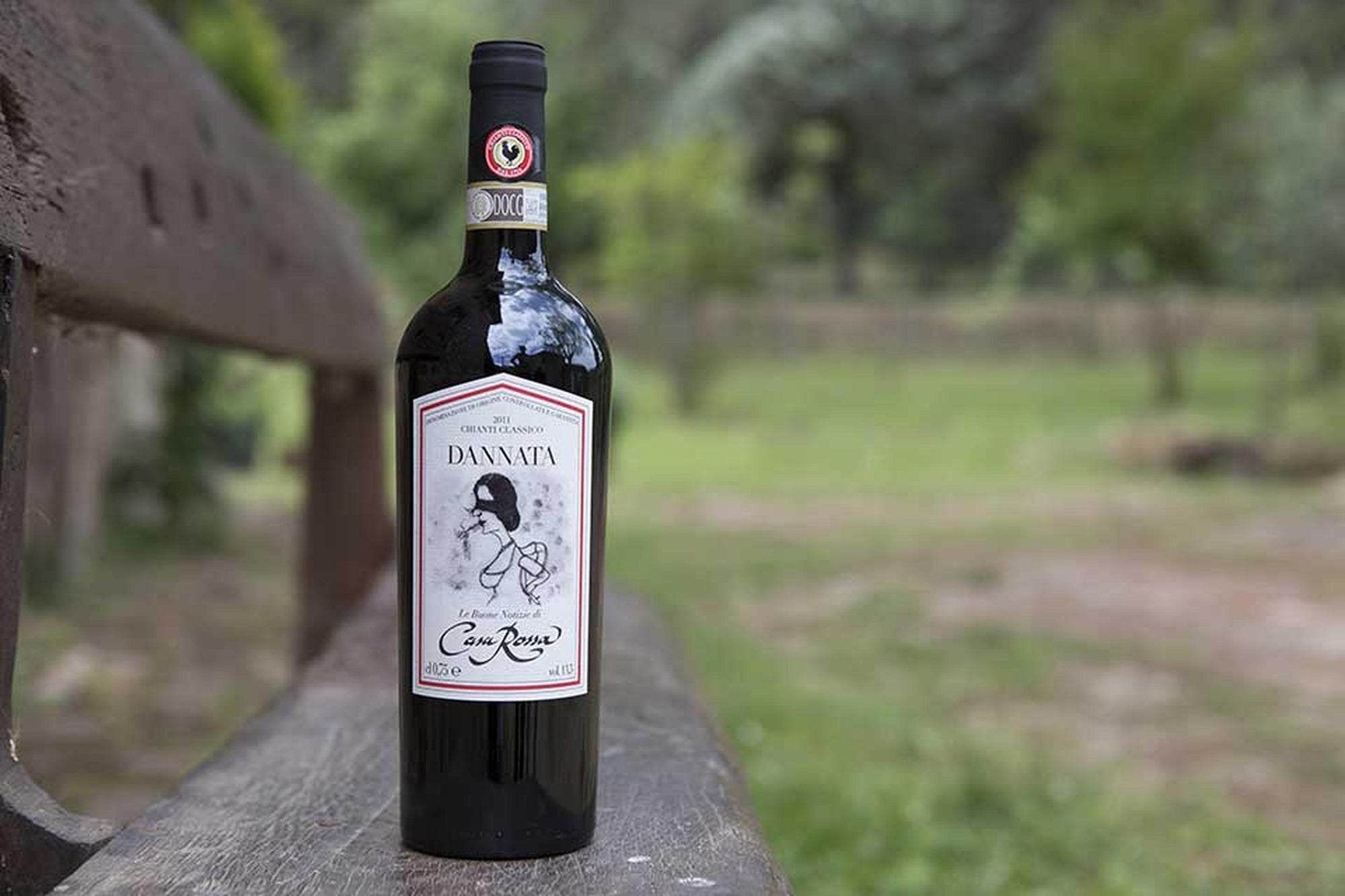 Chianti Classico "Dannata" 0.75 L