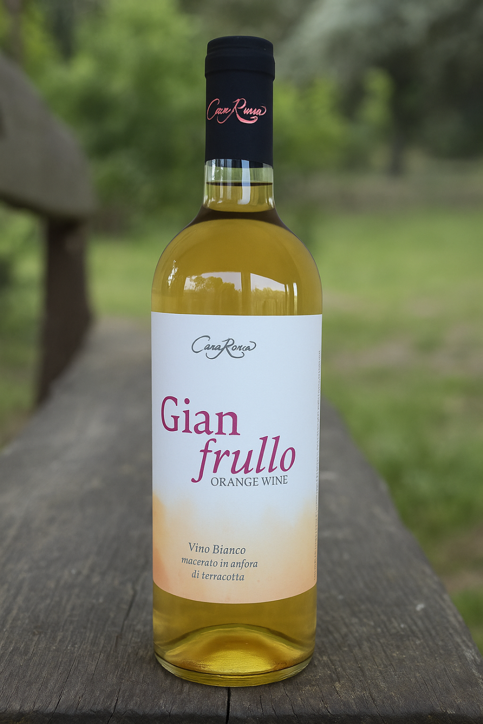Orange Wine "Gianfrullo" in Anfora - Casarossa Chianti